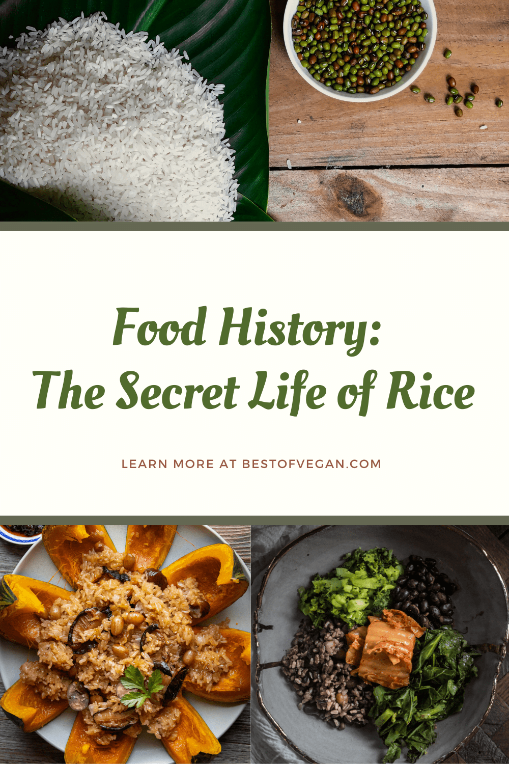 rice history