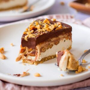 Vegan Snickers-Style Ice Cream Cake