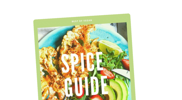 spice guide ebook cover