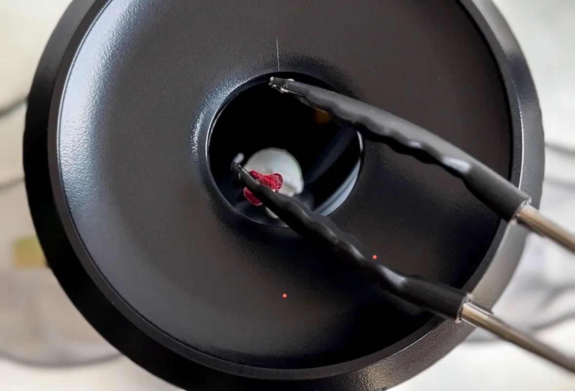 coconut being added to juicer